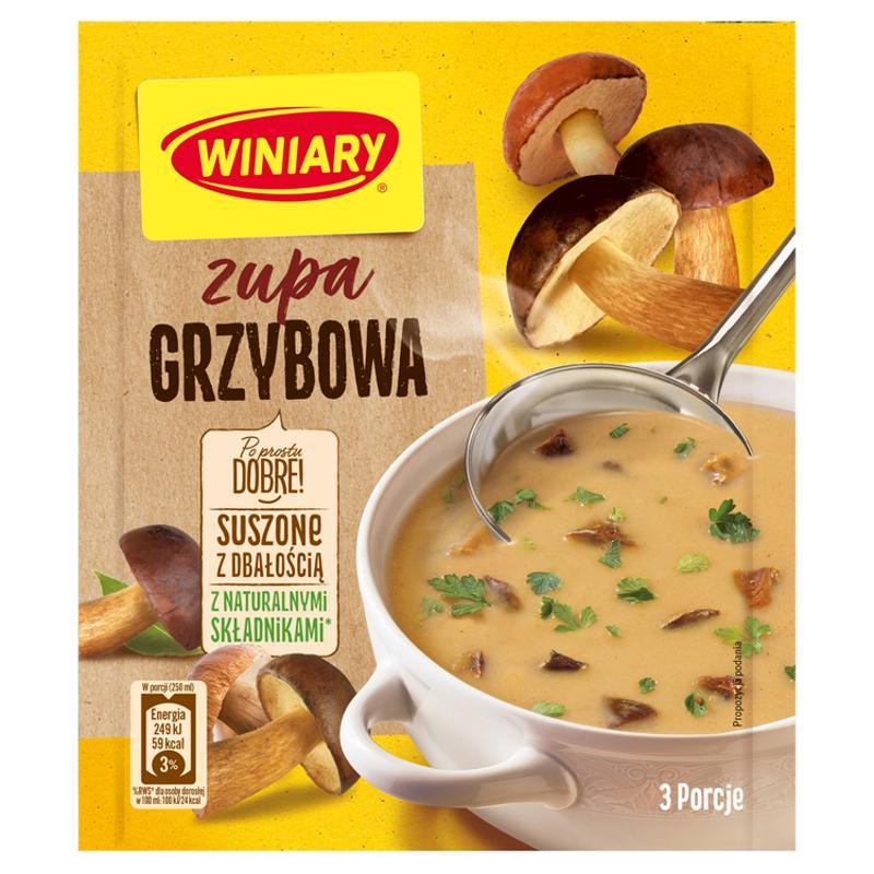 Image of Mushroom Soup Winiary 48 G