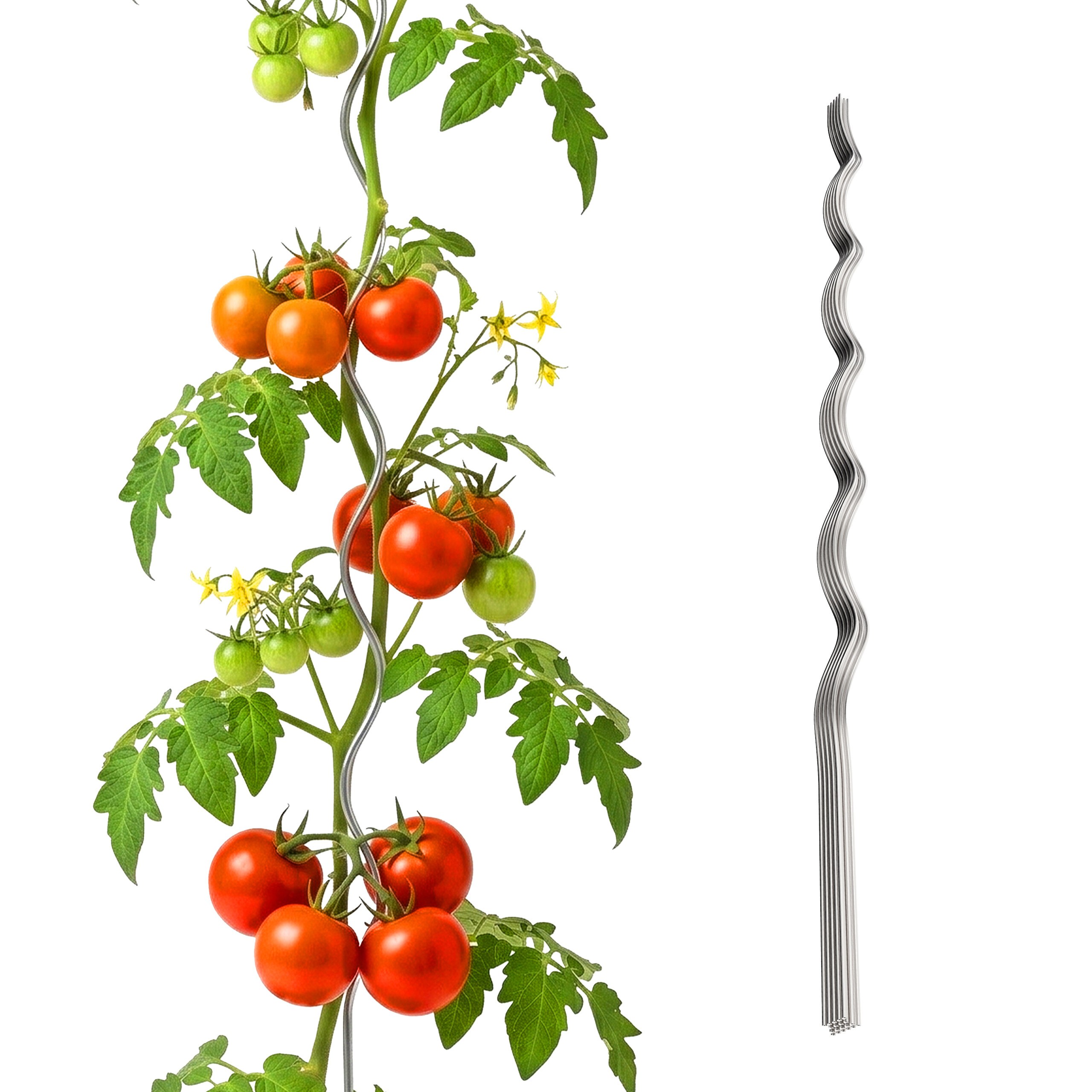E-shop 10 x Tomaten Spiralstab - 150 cm