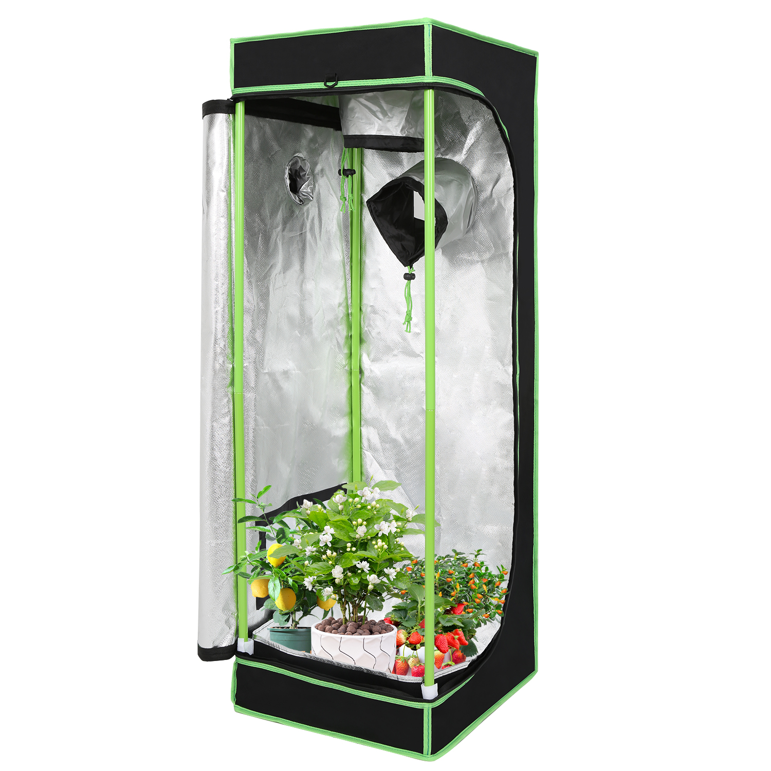 

Plants Grown Tent 1 Piece, Grow Box For Plant Hydroponic, Growth Cabin, With Observation Window, 5 Models (40x40x120cm/60x60x180cm/80x80x180cm/120x60x180cm)