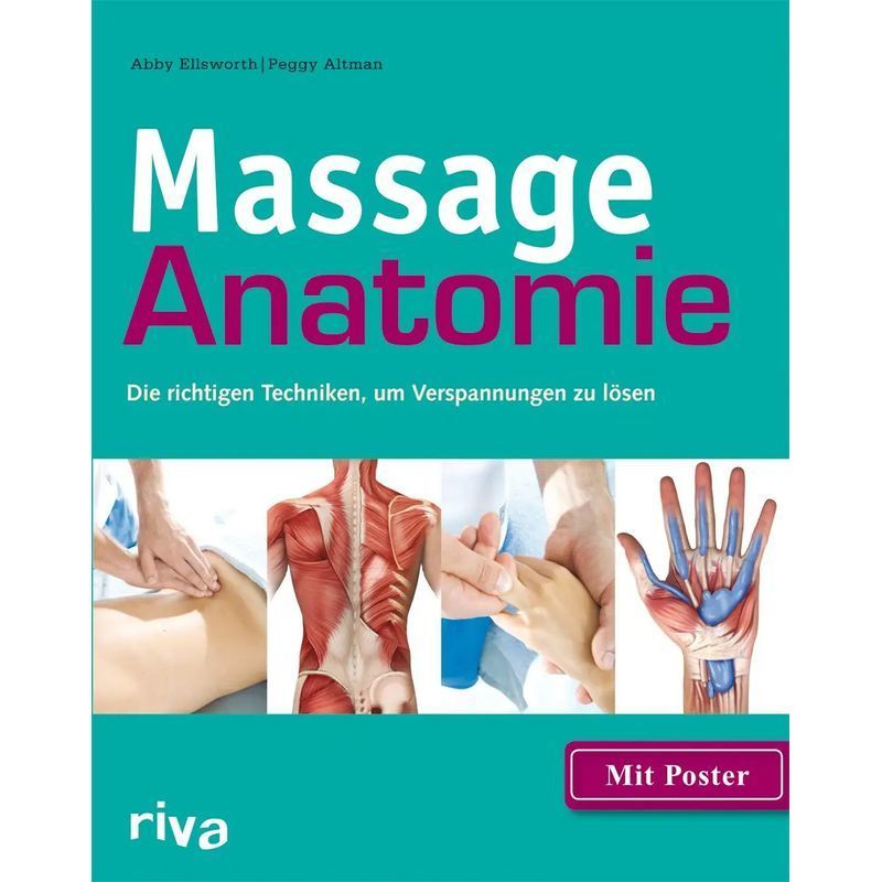 Image of Massage Anatomy - The Right Techniques To Tension - Abby Ellsworth (et Al.) - Paperback - 160 Pages - German - 2014 - Riva Verlag - Ean 9783868833935
