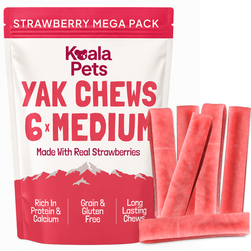 TEMU Yak Chews For Dogs (medium Pack Of 6)