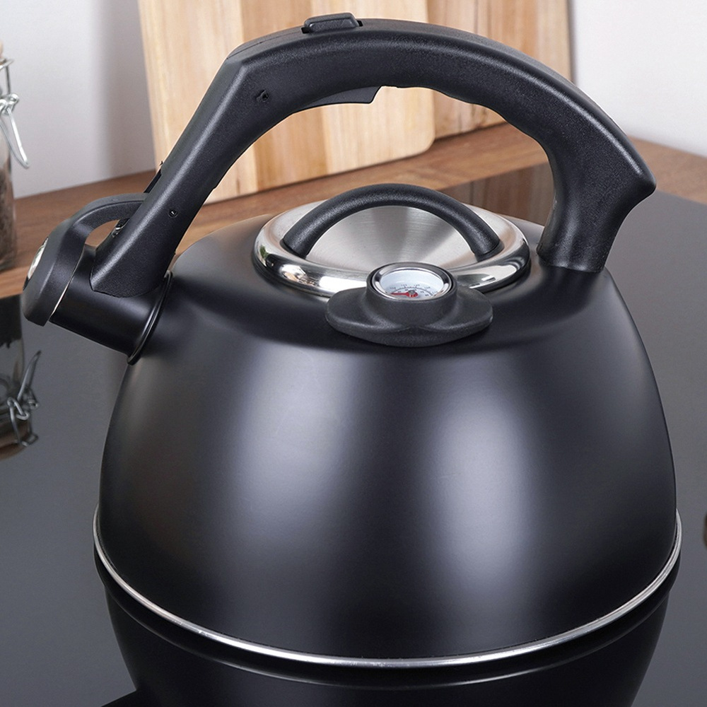 TEMU Kettle With A Whistle, Stainless Steel, Black, With A Thermometer, 3