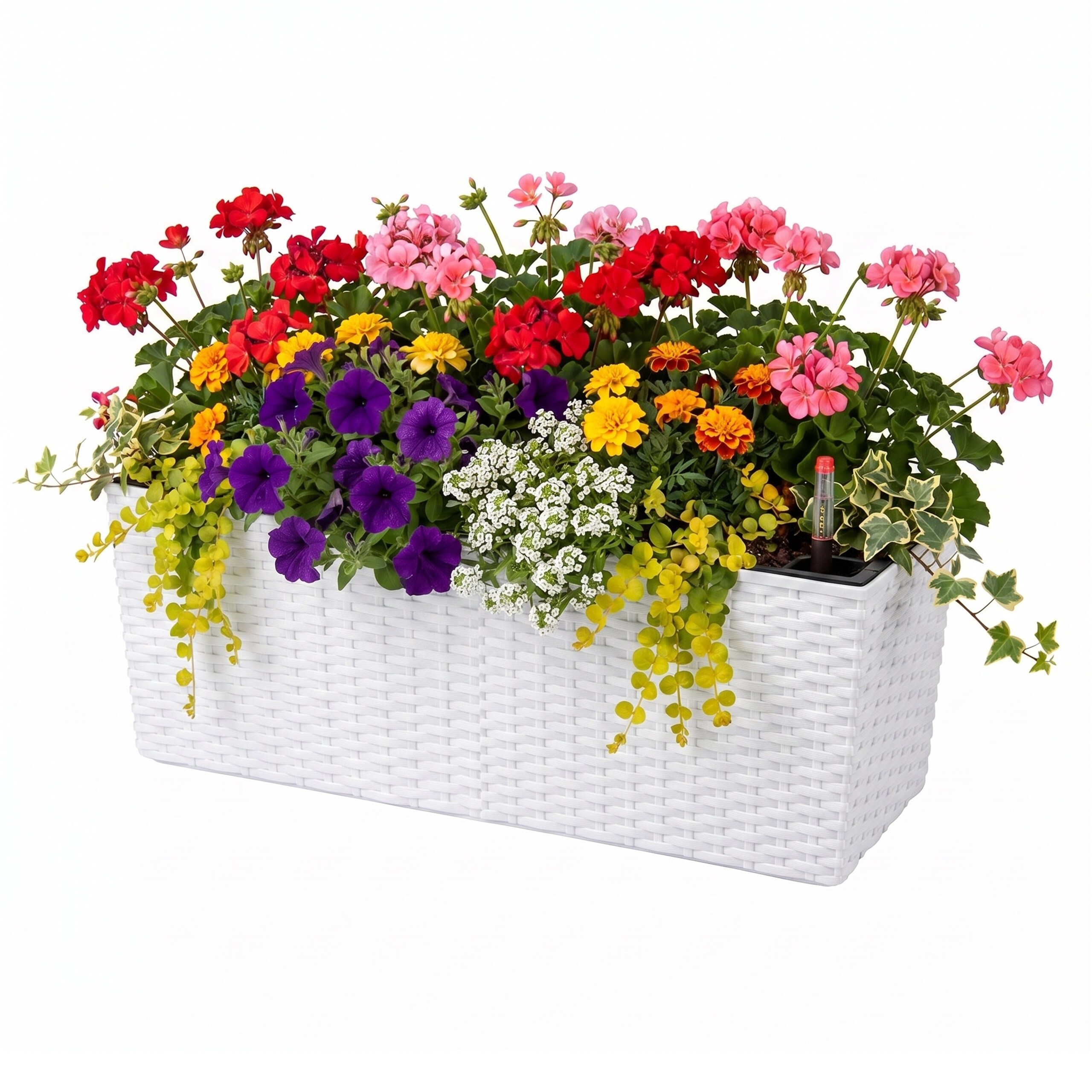 Rattan" Self-watering Balcony Planter In White - (w)50 X (h)19 X (d)19 Cm