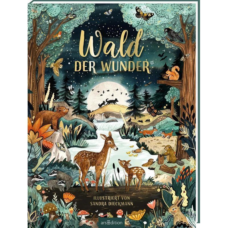 Forest Of Wonders - Book - Sandra Dieckmann - Hardcover With Gold Foil - 32 Pages - German - 2022 - Ars Edition Gmbh - Ean 9783845848624