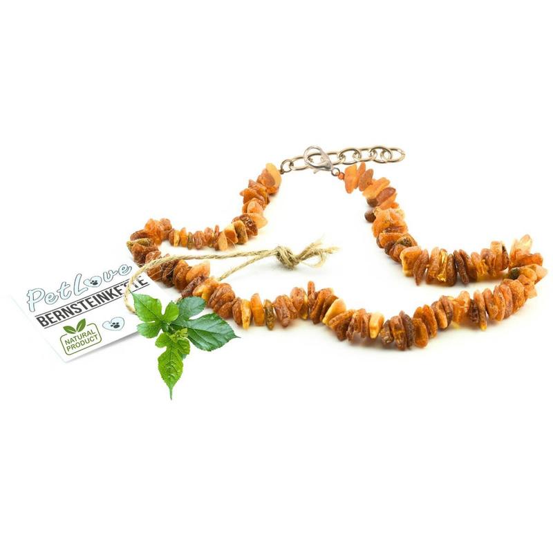 Amber Necklace For Dogs And Cats – Handcrafted Natural Product Made From Genuine Amber, Stylish Jewelry Accessory In Sizes From 20 Cm – Lightweight, For Dogs And Cats Of All Breeds