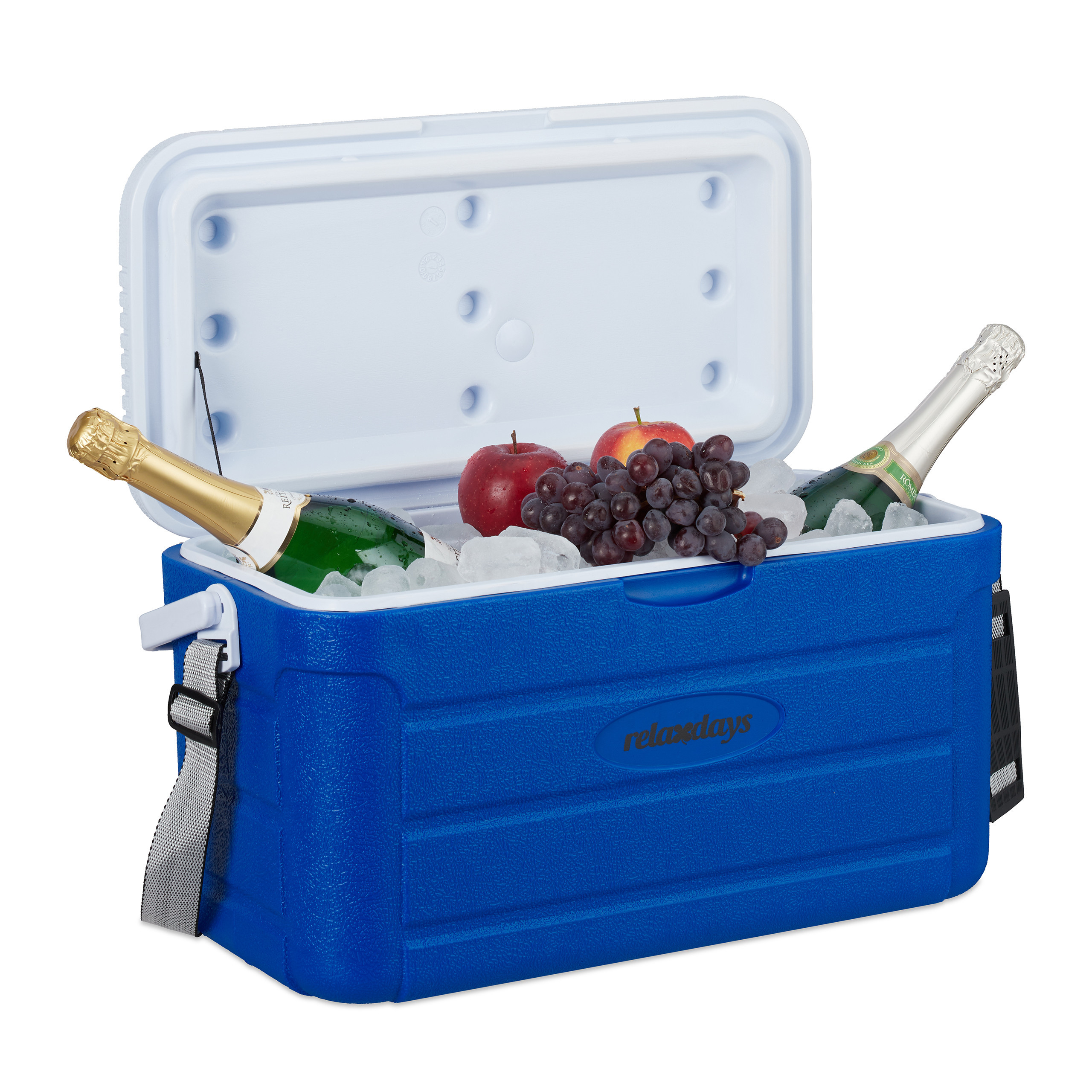 20l Cooler Bag With Carrying Strap