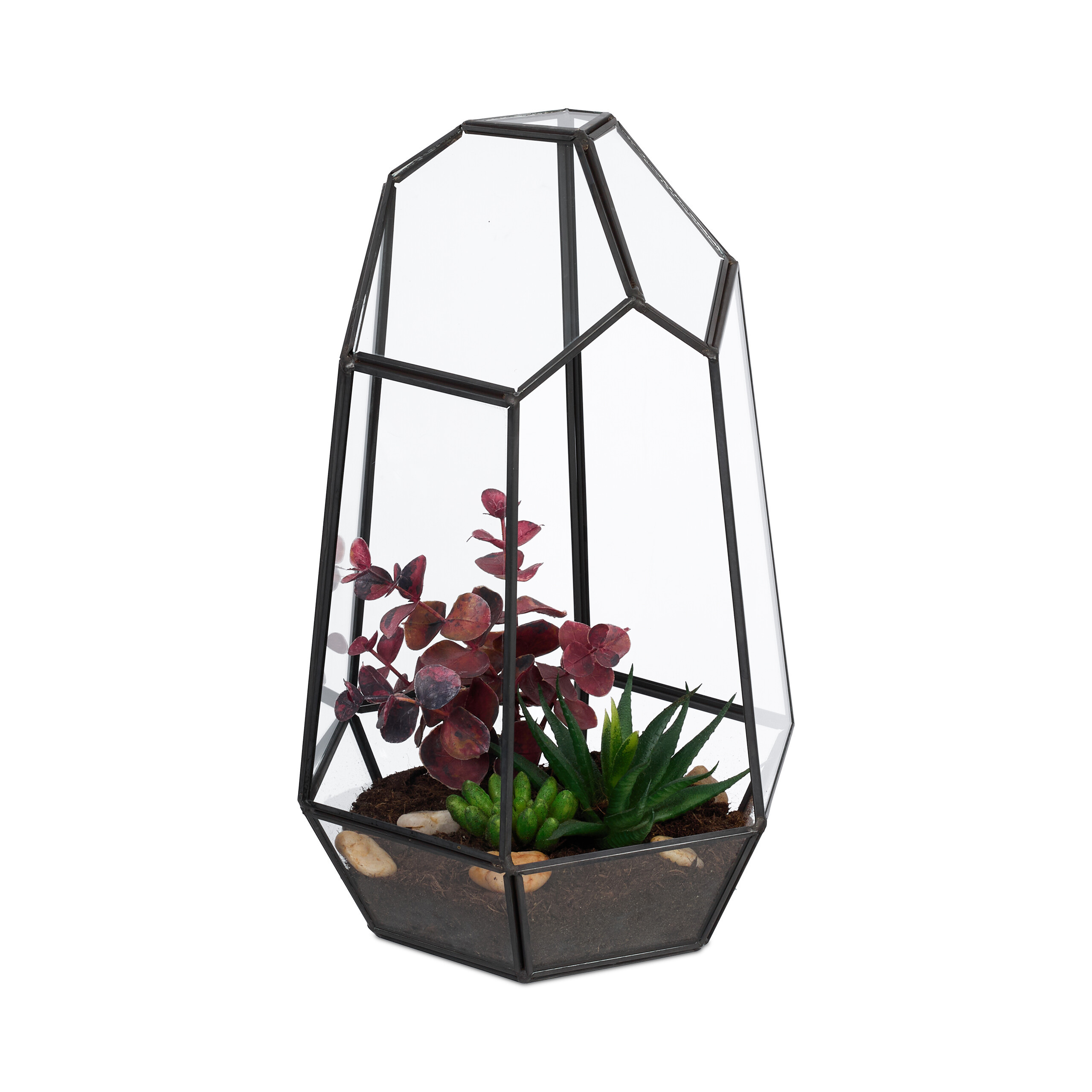 Geometric Plant Terrarium In Black - (w)17 X (h)25 X (d)15 Cm