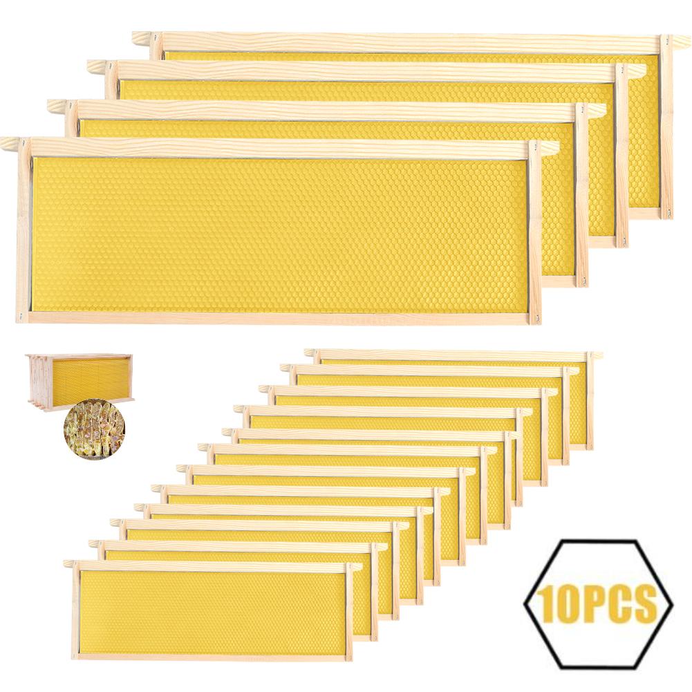 TEMU Honey Bee Frames Kit, Set Of 10 Hive Body Frames, Uk National Bee Hive Frames, Square Bee Frames With Wax Wood Beehive Frames Yellow, For