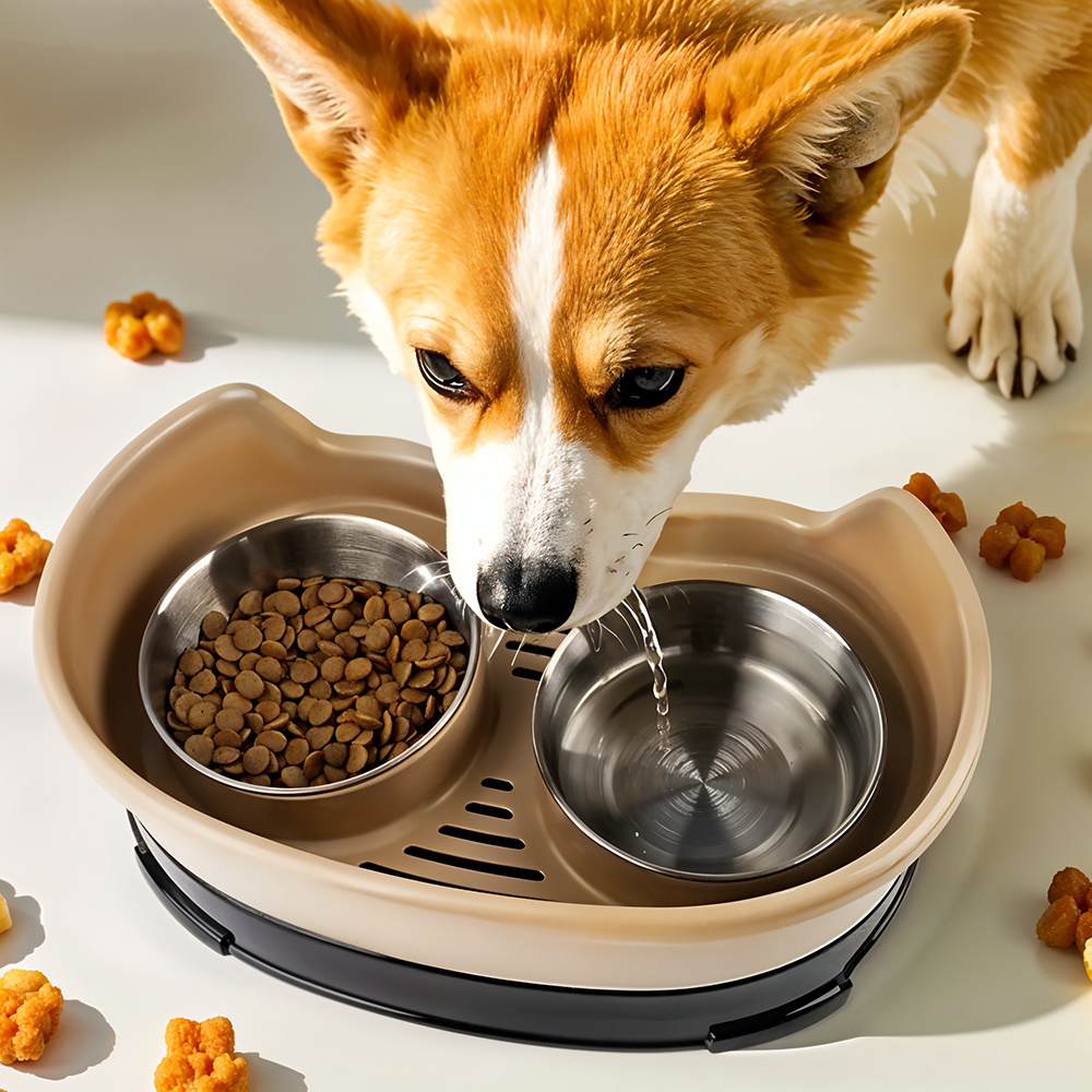 Stainless Steel Dog Bowl 2 Feeding Bowl for Dog Water and Food with Stand Pet Eating and Drinking Station for Cats and Dogs Brown