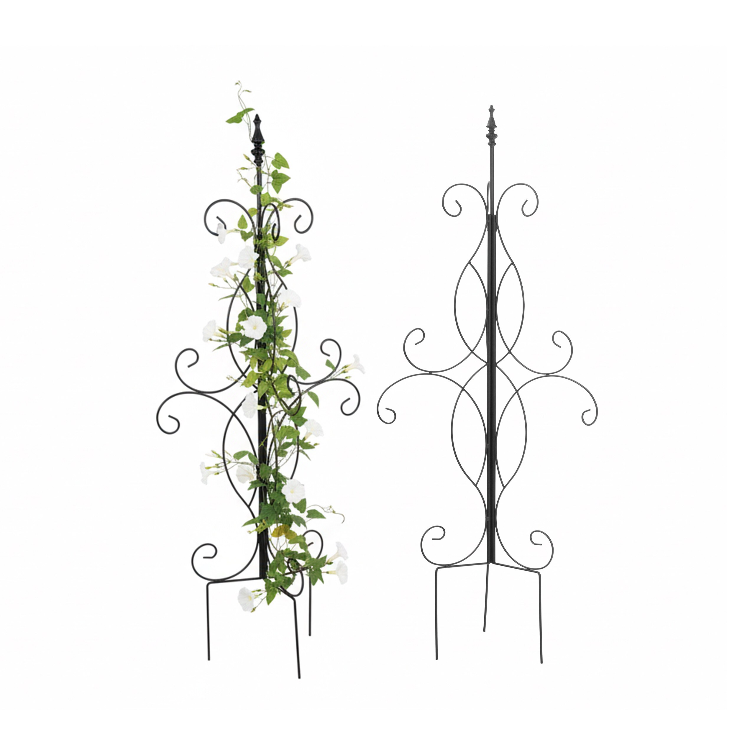 2 X Black Plant Support - (w)45 X (h)116 X (d)
