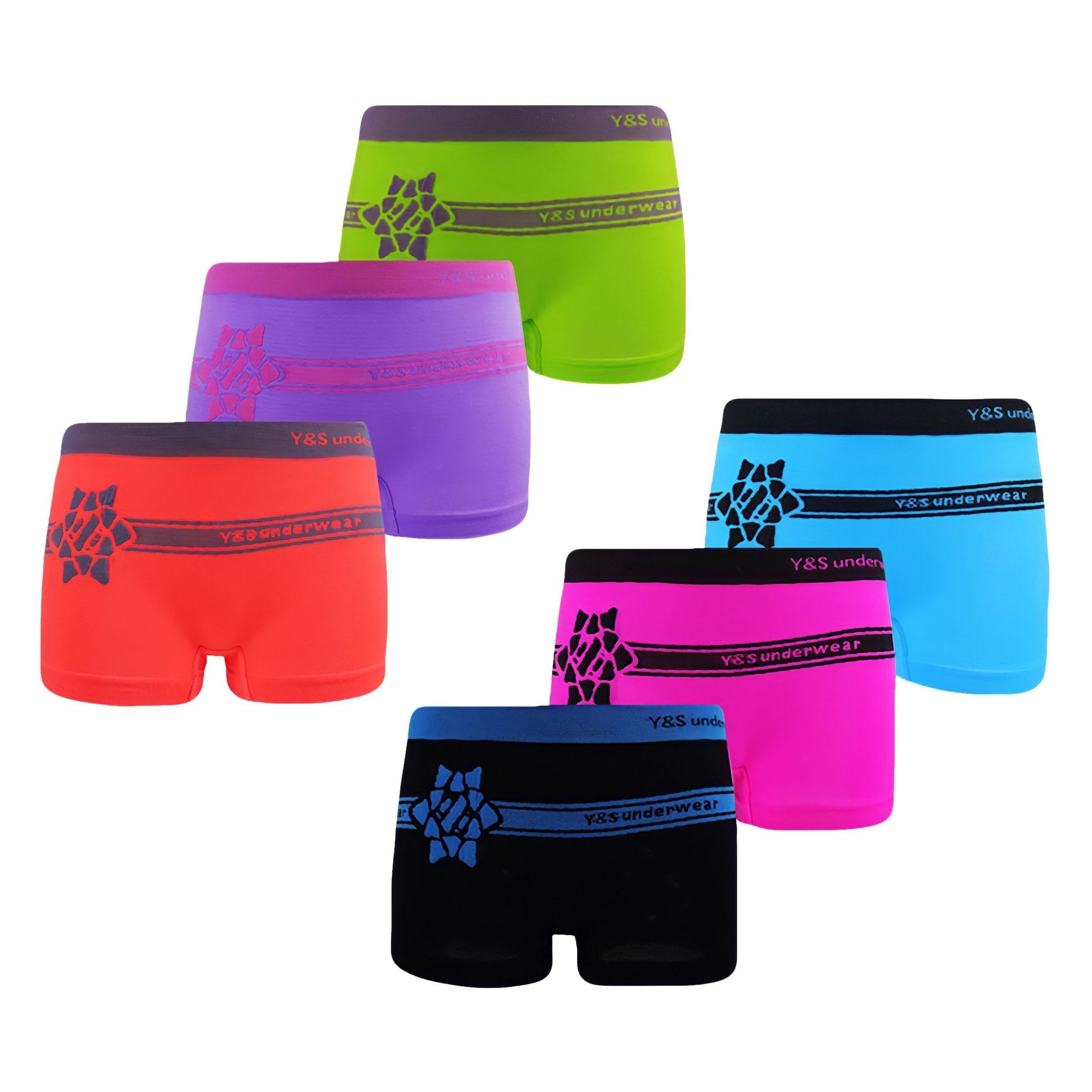 Women's Panty Underwear 5-pack Microfiber Underpants Pants