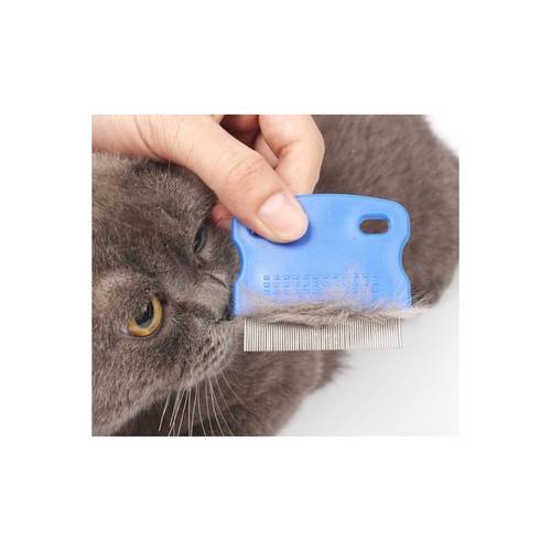 kedi köpek bit ve tarağı
